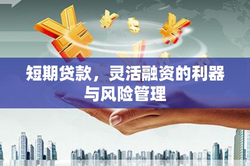 金昌短期贷款，灵活融资的利器与风险管理