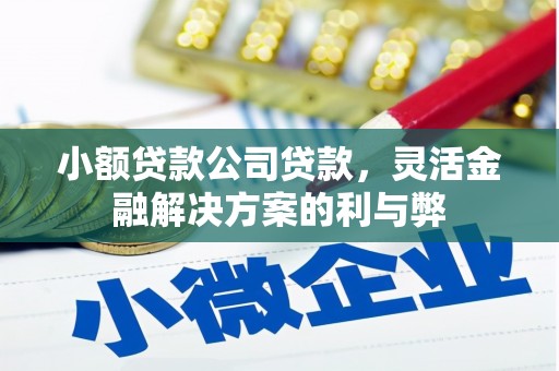 金昌小额贷款公司贷款，灵活金融解决方案的利与弊