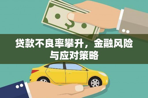 金昌贷款不良率攀升，金融风险与应对策略